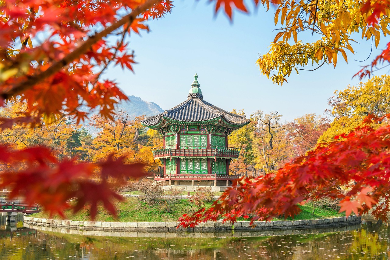korea, nature, tree, gyeongbokgung, seoul, southkorea, maple leaves, leaf, soil, sand